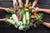 Most Sustainable Foods and How to Eat Sustainably