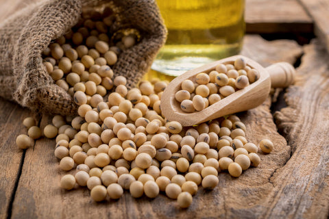 Soy beans