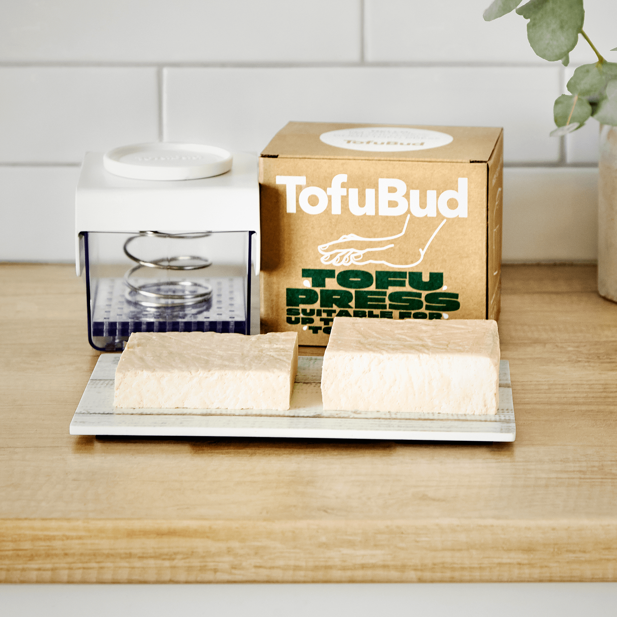 TofuBud Tofu Press - Pressa per Tofu Compatto o Duro - Stampo Tofu Fai Da  Te : : Casa e cucina